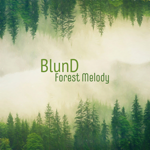 《小凤新婚》上集
